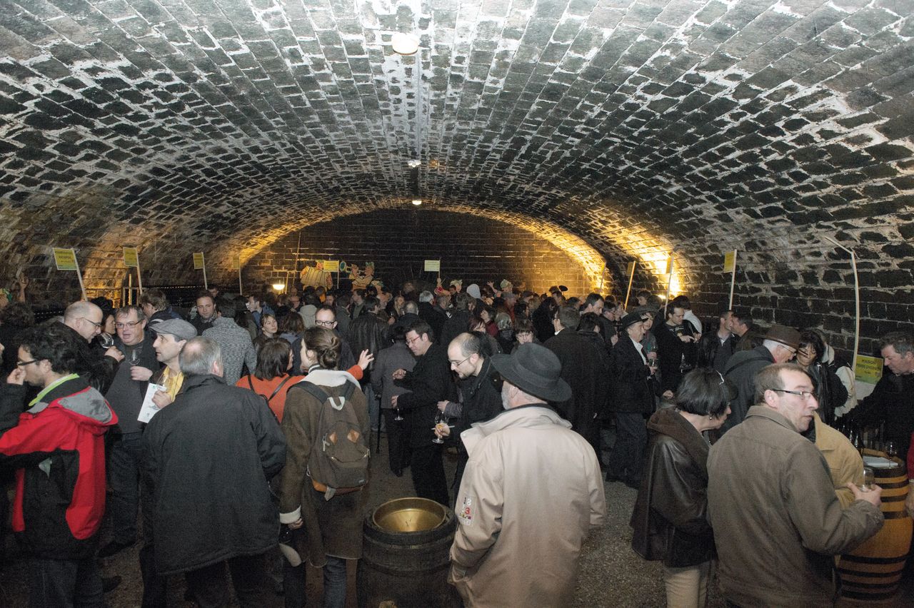 Evenements Nez dans le vert 8068